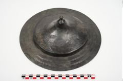 Foto von Bronzephalere (NHMW-PRAE-025108)